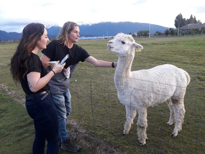 image n.15 of From Te Anau: Milford Sound Tour with Cruise and Lunch activity in South Island, uploaded by supplier