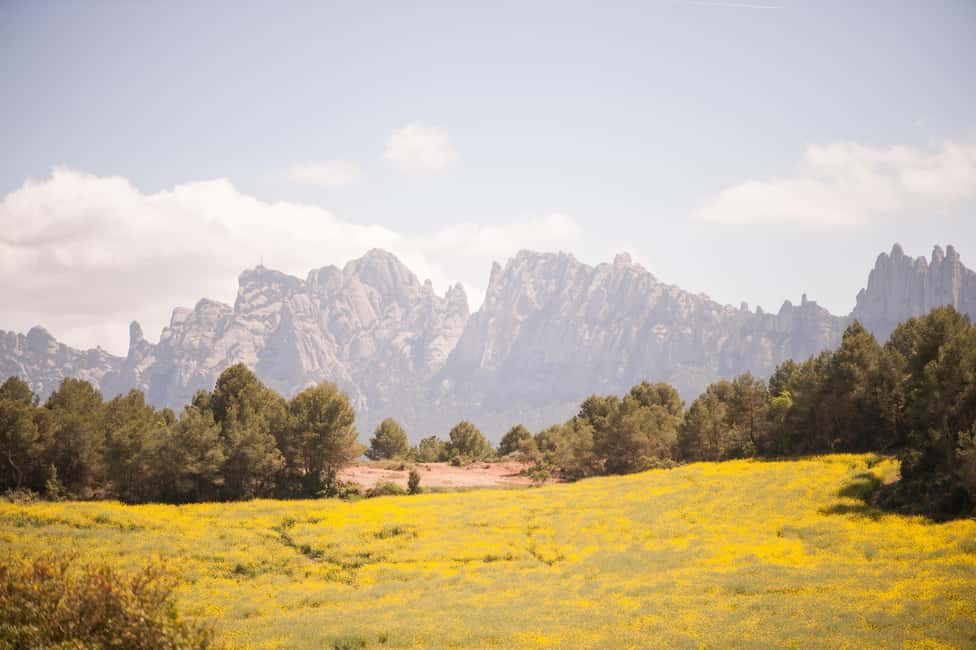 image n.13 of From Barcelona: Montserrat Half-Day Wine and Tapas Trip activity in Catalonia, uploaded by supplier
