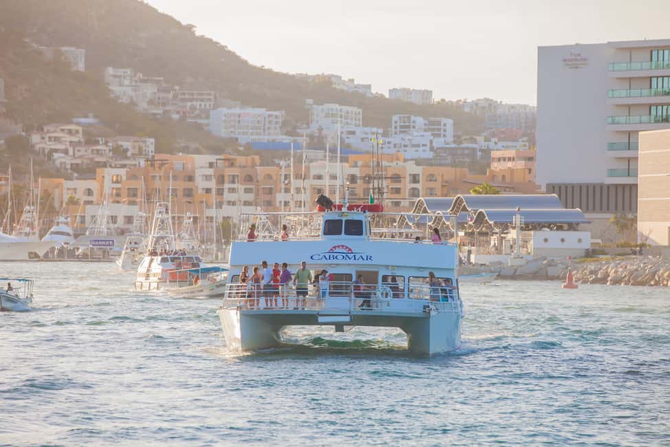 image n.6 of Los Cabos: Sunset Dinner Cruise with Transportation activity in Cabo San Lucas, uploaded by supplier
