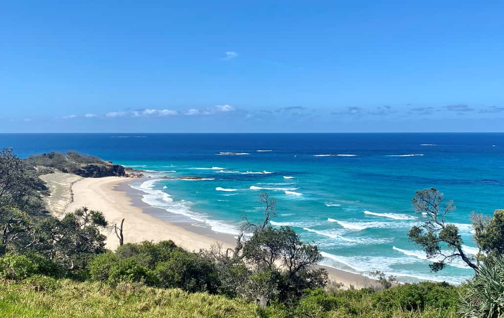 image n.1 of From Brisbane: North Stradbroke Island Wildlife Adventure activity in Brisbane, uploaded by supplier