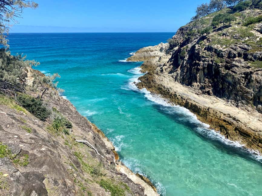 image n.2 of From Brisbane: North Stradbroke Island Wildlife Adventure activity in Brisbane, uploaded by supplier