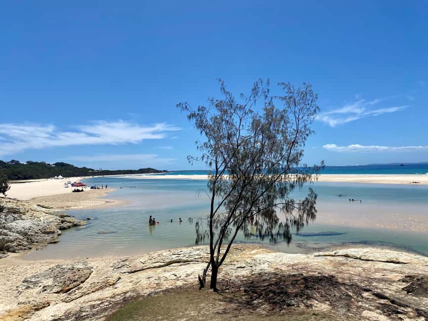image n.3 of From Brisbane: North Stradbroke Island Wildlife Adventure activity in Brisbane, uploaded by supplier