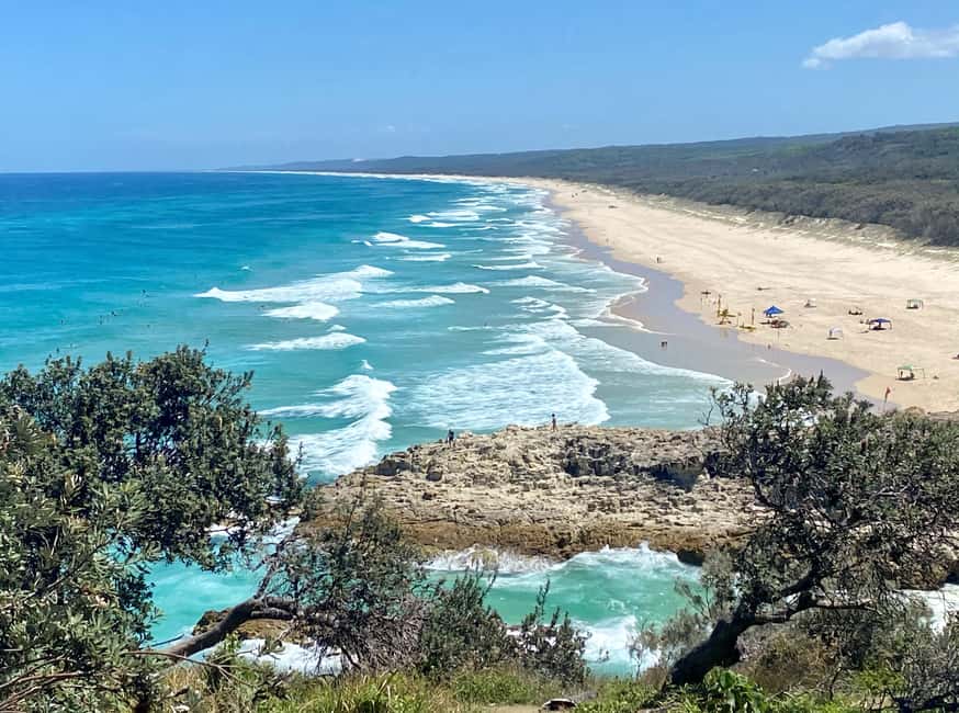 image n.4 of From Brisbane: North Stradbroke Island Wildlife Adventure activity in Brisbane, uploaded by supplier