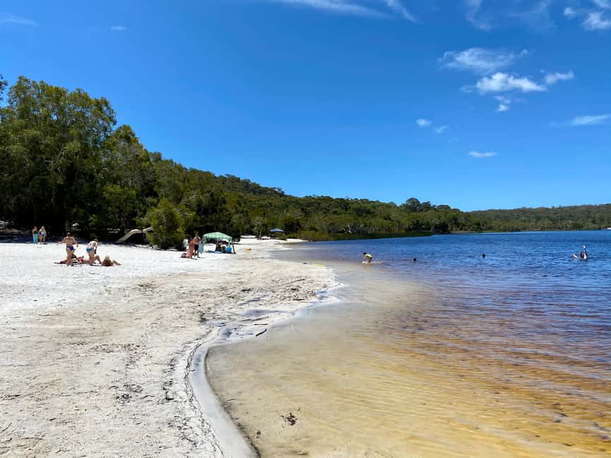 image n.5 of From Brisbane: North Stradbroke Island Wildlife Adventure activity in Brisbane, uploaded by supplier