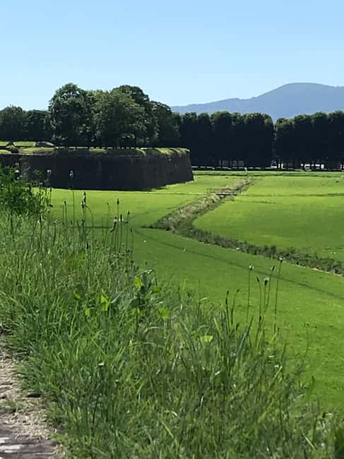 image n.8 of Lucca: Renaissance City Walls Walking Tour activity in Lucca, uploaded by supplier
