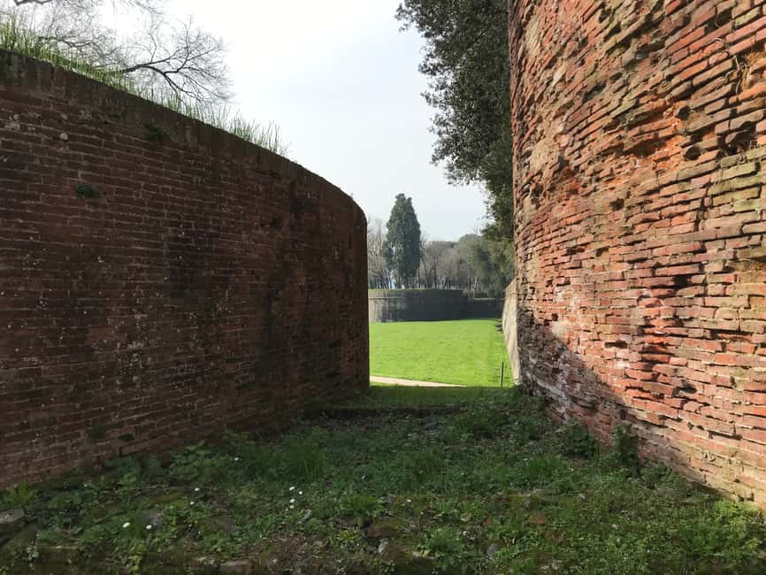 image n.14 of Lucca: Renaissance City Walls Walking Tour activity in Lucca, uploaded by supplier