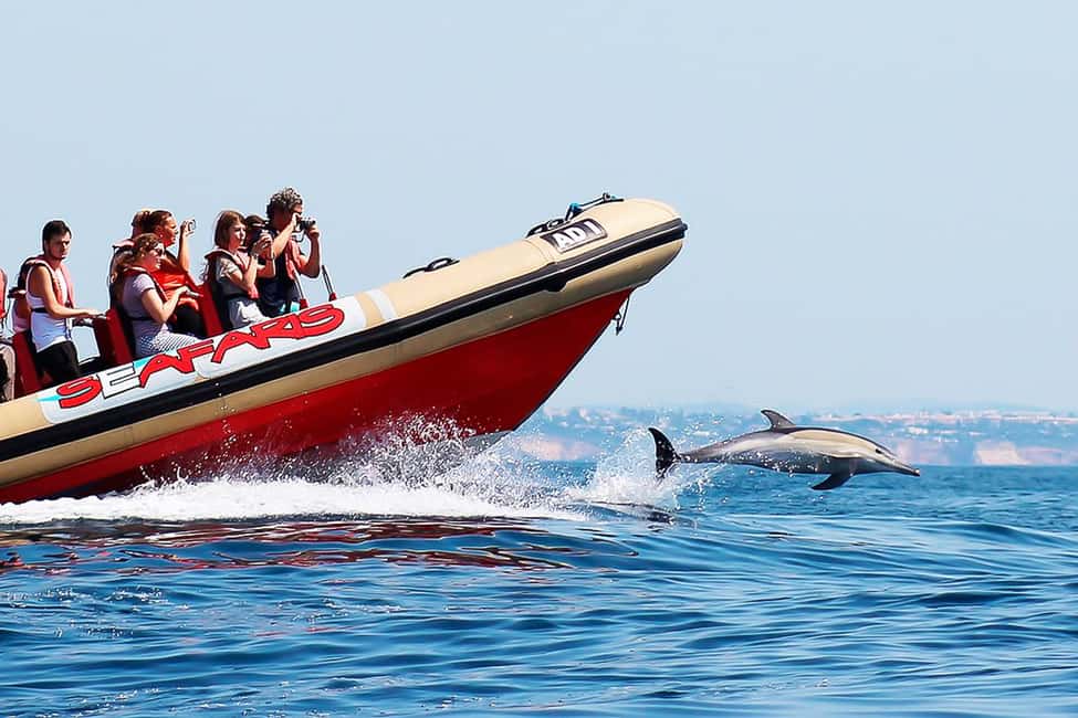 image n.4 of Lagos: Dolphin Watching with Professional Marine Biologists activity in Lagos, Portugal, uploaded by supplier