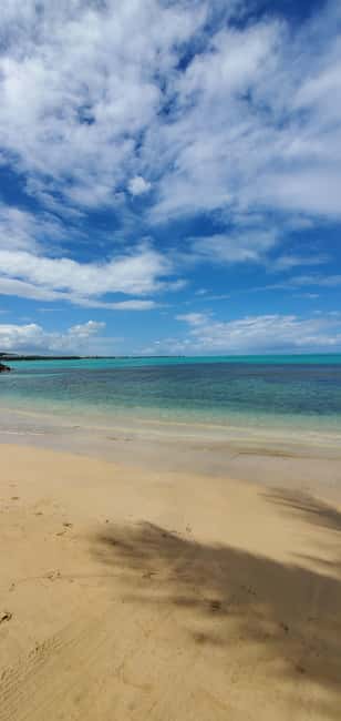 billede nr.4 af aktiviteten Fra San Juan: El Yunque regnskov og Luquillo strandtur i Río Grande, Puerto Rico, uploadet af udbyder