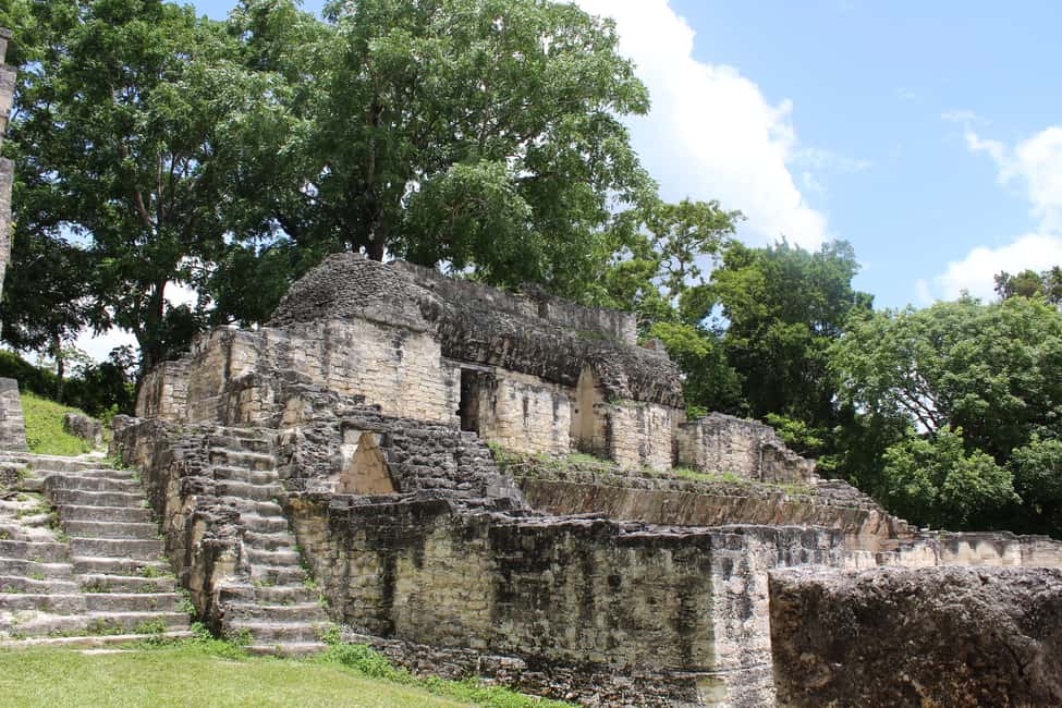 image n.7 of From Flores: Tikal Ruins Guided Tour activity in Flores, Guatemala, uploaded by supplier