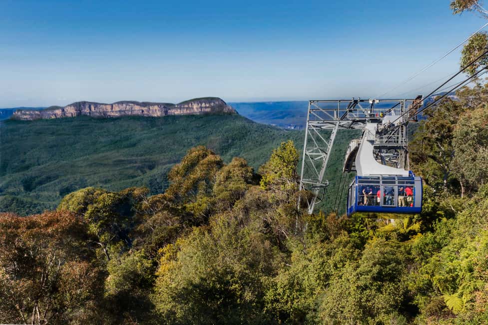 bild nr.9 av Från Sydney: Blue Mountains, Scenic World, Zoo och färjetur aktivitet i Sydney, uppladdad av arrangören