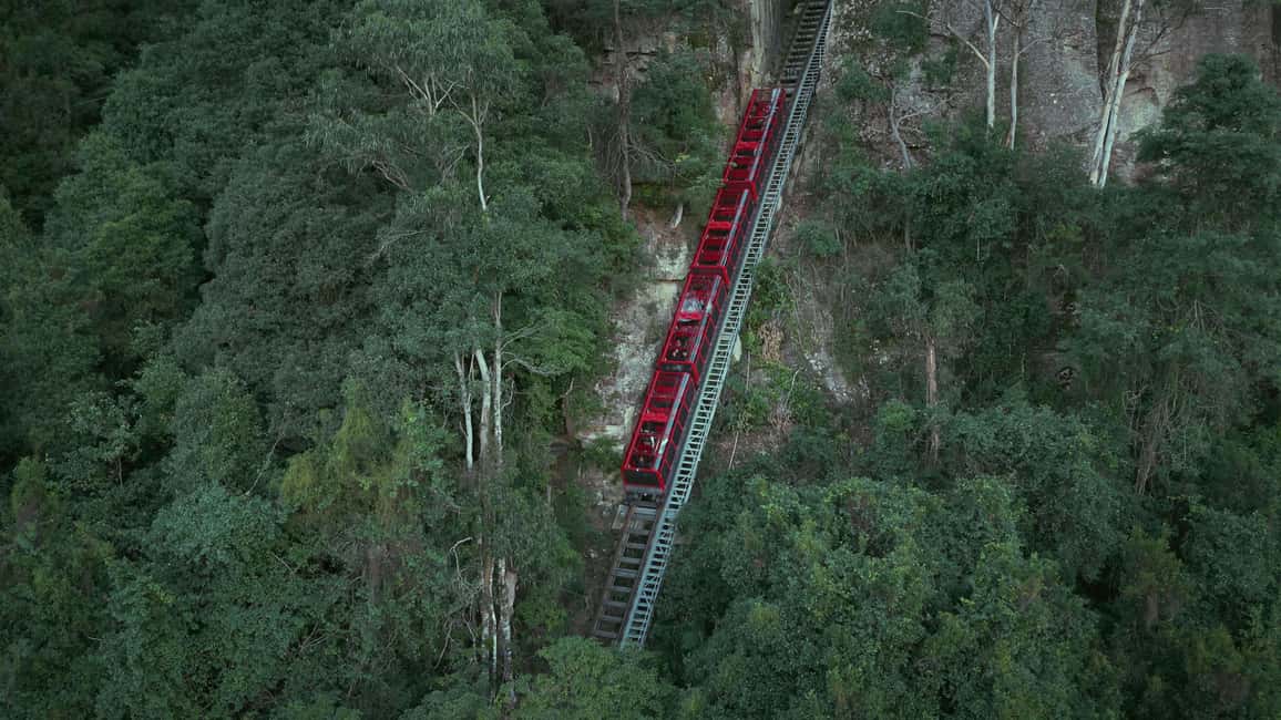 bild nr.17 av Från Sydney: Blue Mountains, Scenic World, Zoo och färjetur aktivitet i Sydney, uppladdad av arrangören
