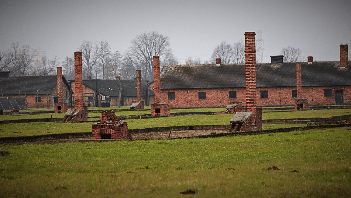 Image N°6 de Cracovie : visite guidée ou visite autonome d'Auschwitz-Birkenau activité à Oswiecim, publiée par le prestataire