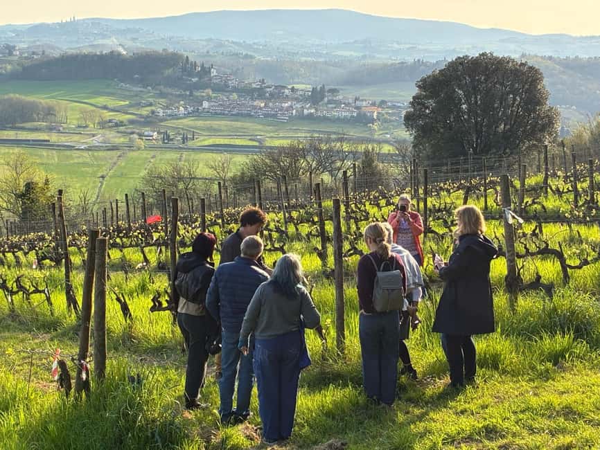 Bild Nr. 4 von Bio-Wein- und Lebensmittelverkostung in der historischen Fattoria Majnoni Aktivität in San Gimignano, hochgeladen vom Anbieter