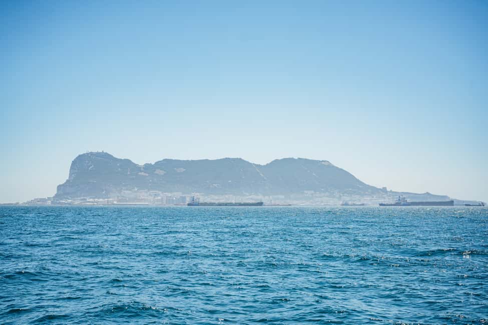 image n.10 of Gibraltar: Dolphin Watching Tour activity in Gibraltar, uploaded by supplier