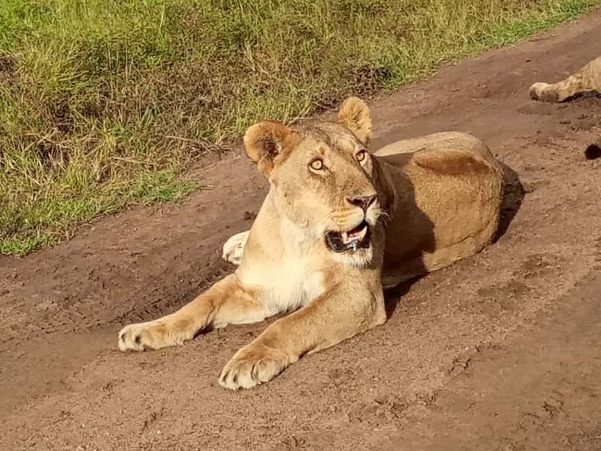 image n.29 of Nairobi National Park Half-Day Game Drive activity in Nairobi, uploaded by supplier