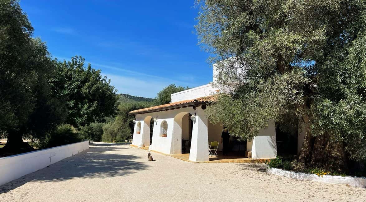 Immagine nº 41 di Ostuni: Tour in bicicletta con un bicchiere di vino e bruschetta attività a Ostuni, caricata dal fornitore