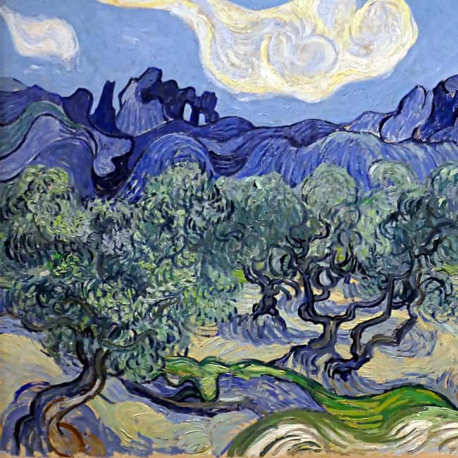 imagem n.7 de A partir de Avignon: locais de Van Gogh e monumentos romanos atividade em Arles, carregada pelo fornecedor