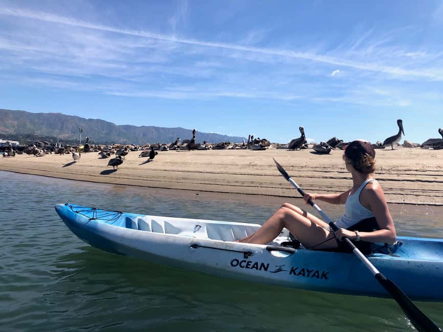 image n.3 of Santa Barbara: 1.5-Hour Harbor Kayak Tour activity in Santa Barbara, uploaded by supplier