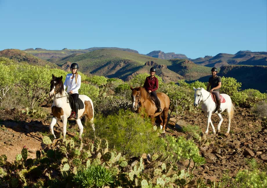 imagen n.º 2 de El Salobre: aventura a caballo con opciones de traslado actividad en Maspalomas, subida por el proveedor