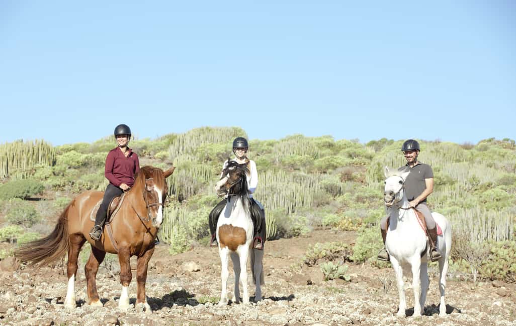 imagen n.º 3 de El Salobre: aventura a caballo con opciones de traslado actividad en Maspalomas, subida por el proveedor