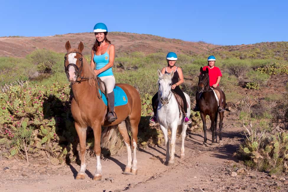 imagen n.º 6 de El Salobre: aventura a caballo con opciones de traslado actividad en Maspalomas, subida por el proveedor