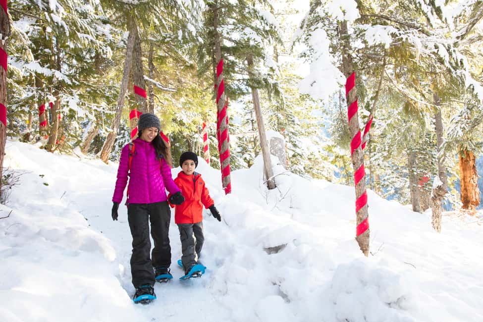 image n.4 of Squamish: Sea to Sky Gondola Admission Ticket activity in Squamish, uploaded by supplier