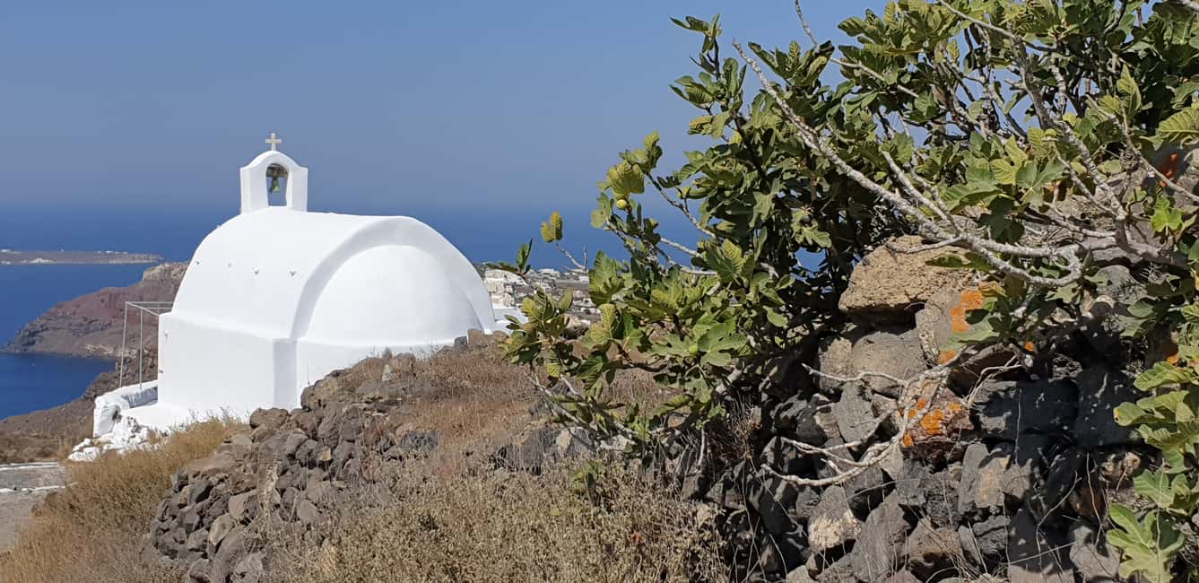 image n.13 of Santorini: Fira to Oia Caldera Hike with Guide activity in Fira, uploaded by supplier