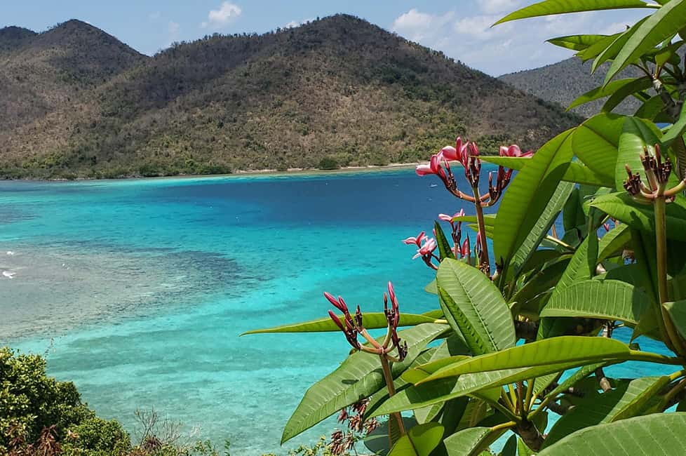 billede nr.3 af aktiviteten St. John: En privat ø-eventyrtur og Trunk Bay Beach i Sankt Jan, uploadet af udbyder