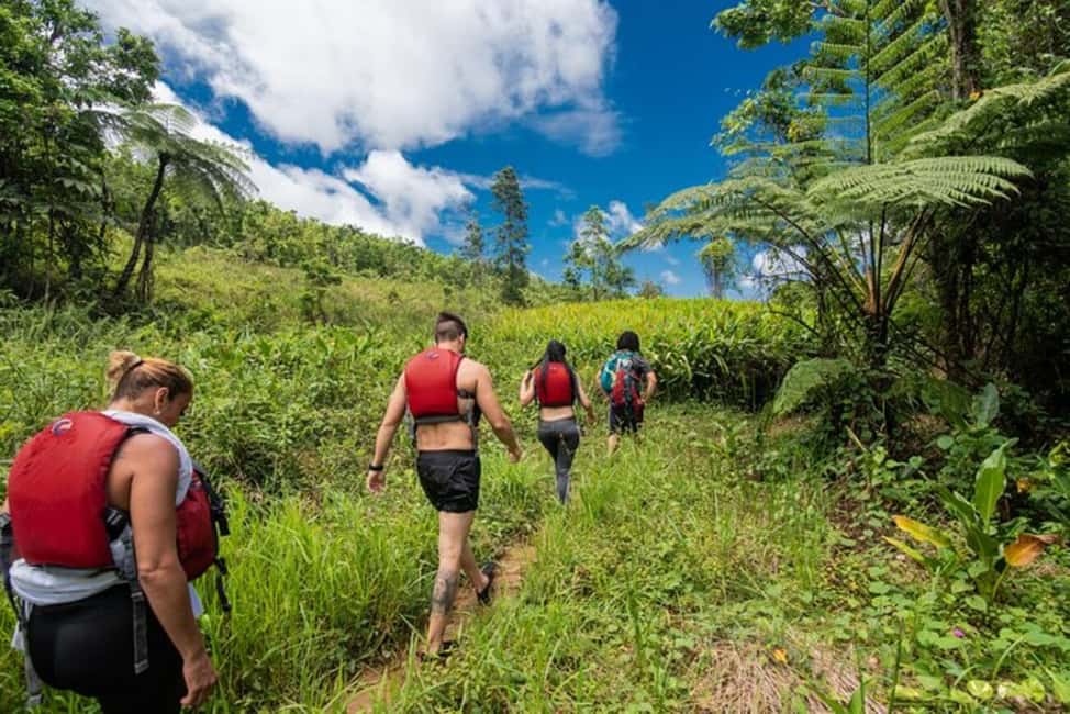 Obraz nr 2 z atrakcji Z San Juan: El Yunque Rainforest i Bio Bay Kayak Combo w Río Grande, Portoryko, przesłany przez organizatora
