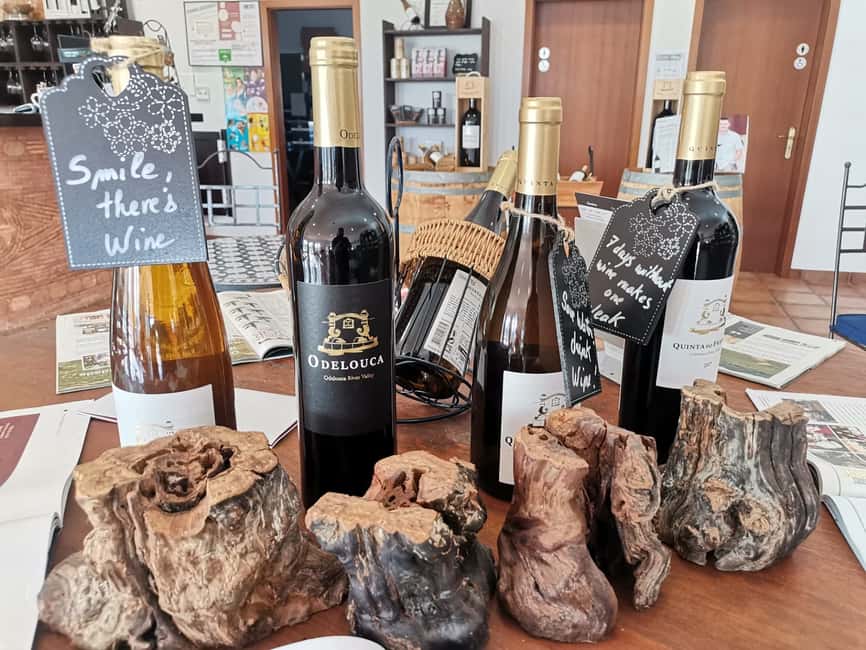 image n.4 of From Lagos: Small-Group 4-Hour Wine Tasting Tour activity in Monchique, uploaded by supplier