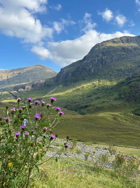 billede nr.10 af aktiviteten Fra Edinburgh: Glenfinnan, Fort William og højlandskøer i Det skotske højland, uploadet af udbyder