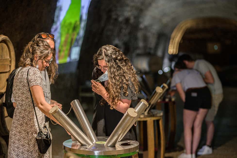 image n.12 of Amboise: Caves Ambacia Visit and Wine Tasting activity in Amboise, uploaded by supplier