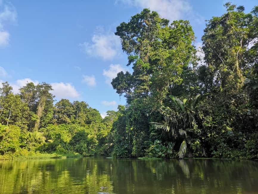 image n.5 of From San Jose: 3-Day Tortuguero National Park Excursion activity in Limón Province, uploaded by supplier
