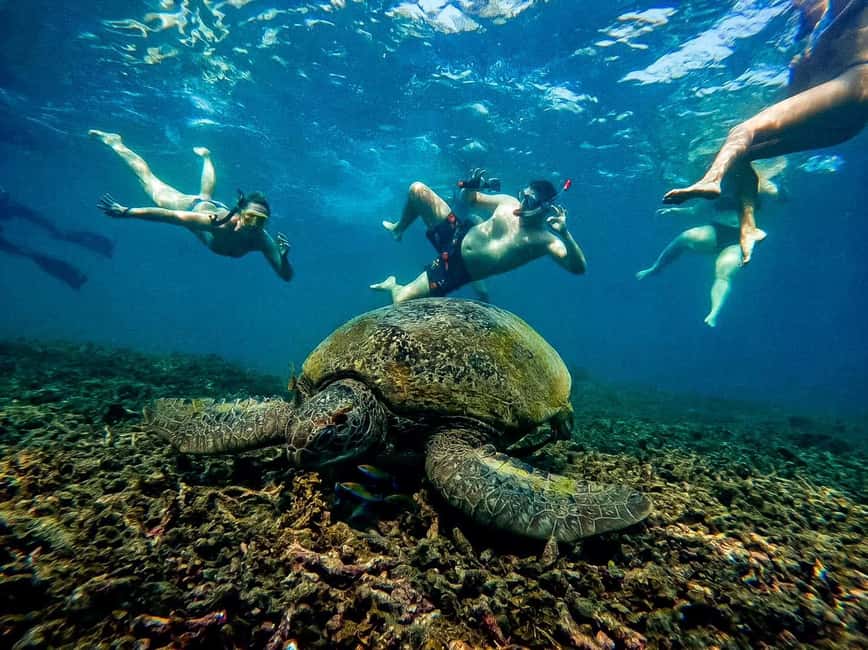 image n.36 of Ko Tao: Tao-Nangyuan Snorkeling Day Trip with Meals & Sunset activity in Ko Tao, uploaded by supplier