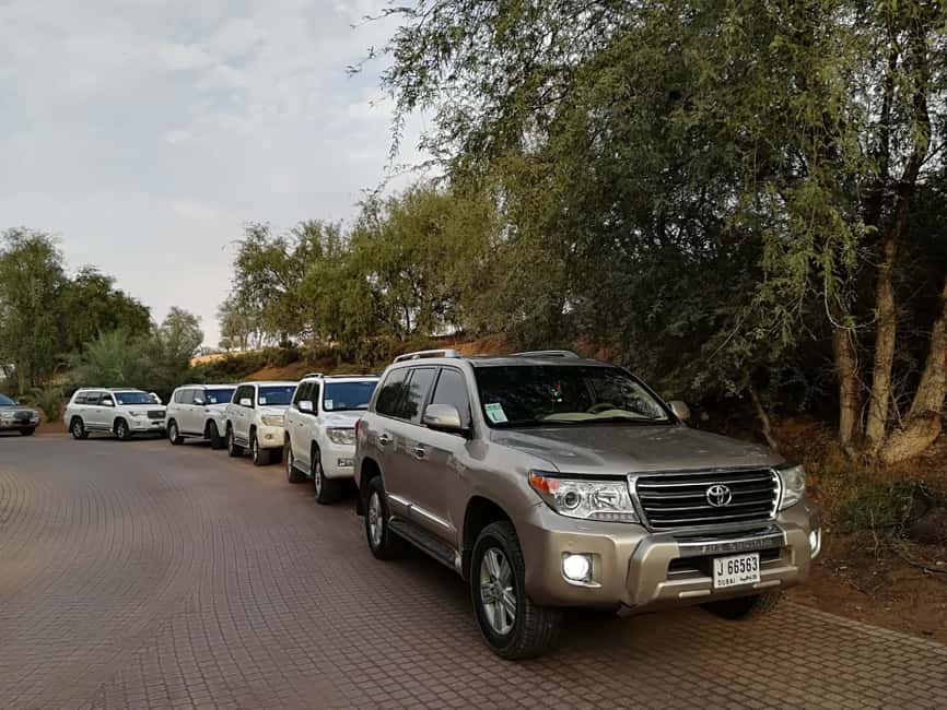 image n.8 of Ras Al Khaimah: Half-Day Desert Safari with Dinner activity in Ras al-Khaimah, uploaded by supplier
