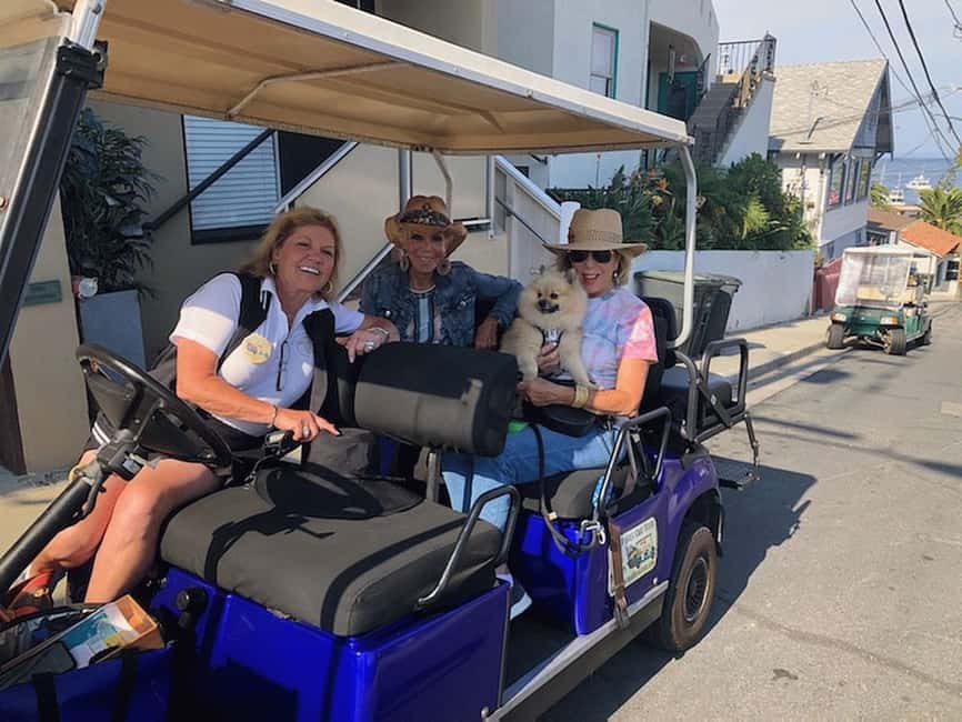 image n.4 of Catalina Island: Private Guided Golf Cart Tour of Avalon activity in Avalon, uploaded by supplier