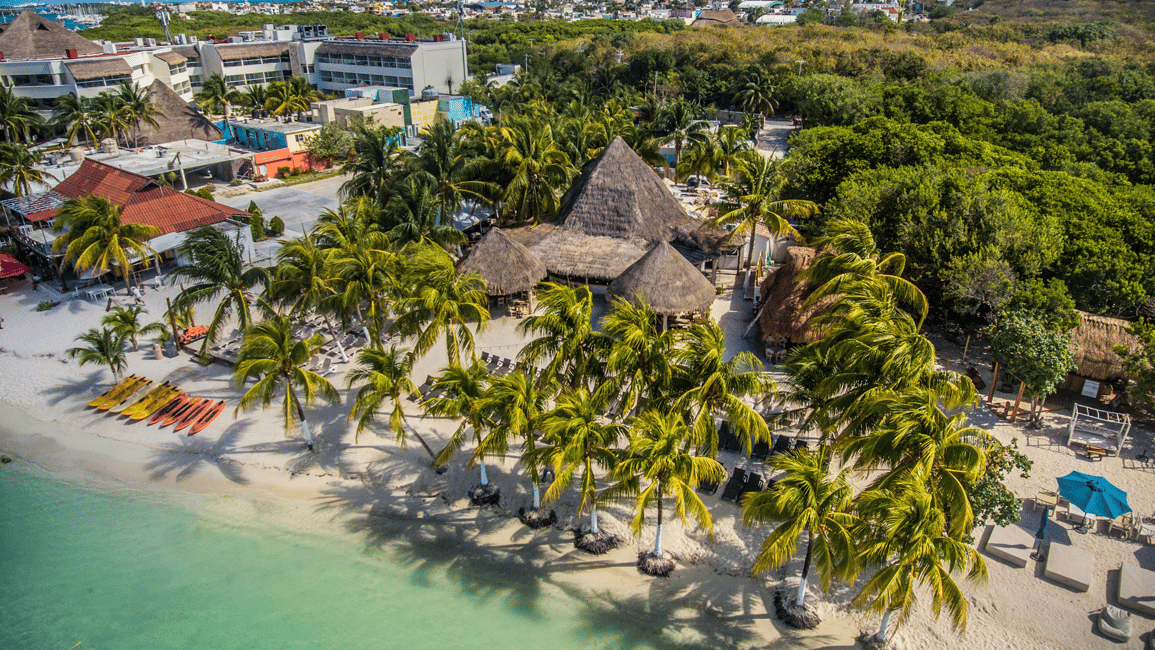 image n.5 of Cancún: Swim with Whale Sharks & Playa Norte Beach activity in Quintana Roo, uploaded by supplier