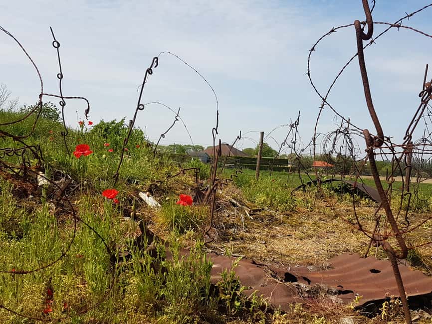 afbeelding n.4 van Vanuit Brugge: Minibus met lunch door de grote oorlog in Flanders Fields activiteit in Ieper, geüpload door aanbieder