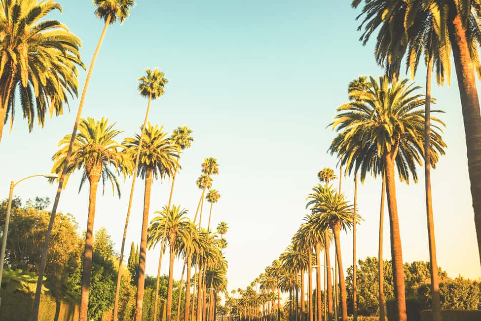 image n.22 of Los Angeles: Hollywood & Celebrity Homes Open-Air Bus Tour activity in Los Angeles, uploaded by supplier