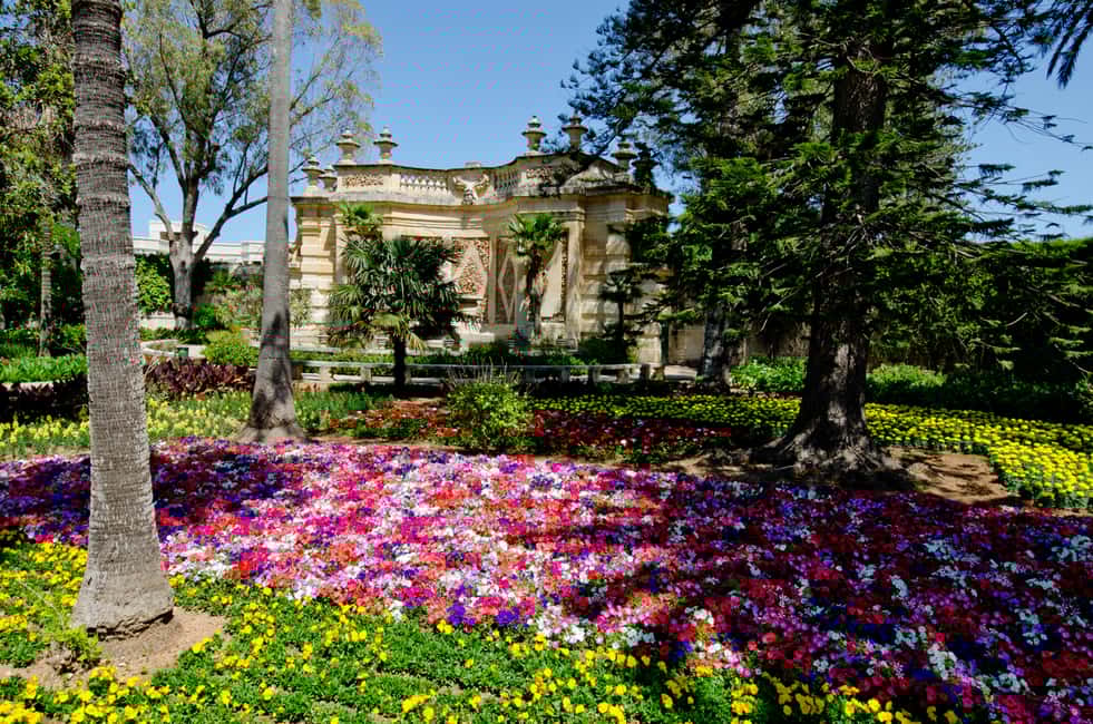 image n.9 of Valletta: Malta's Noble Homes and Palaces Private Tour activity in Valletta, uploaded by supplier