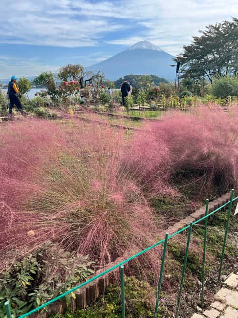 obrázek č.17 aktivity Z Tokia/Jokohamy: Fudži a Hakone Soukromý celodenní výlet v destinaci Hakone, nahraný poskytovatelem aktivity
