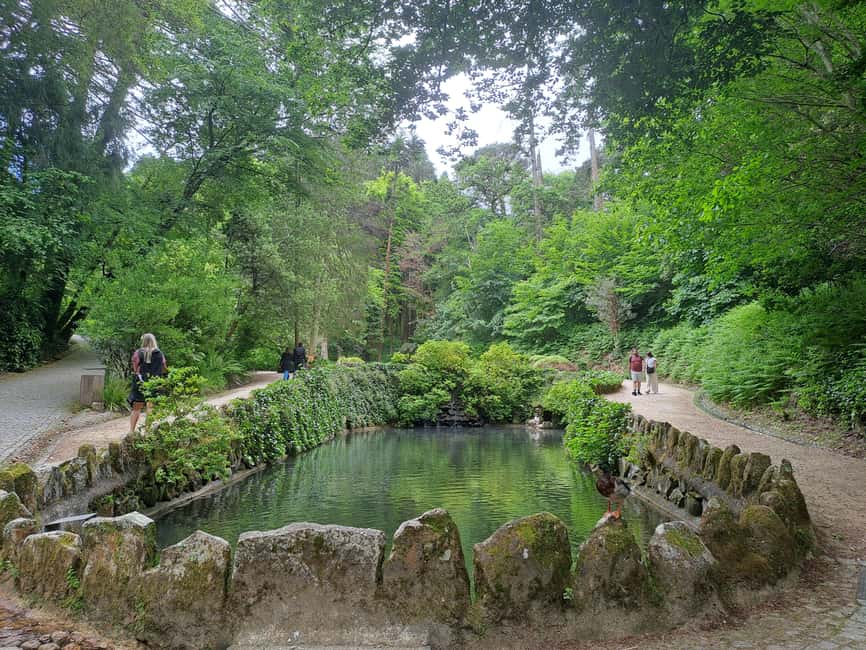 imagen n.º 82 de Excursión de un día mágico: Palacio de Pena, Sintra, CaboDa Roca y Cascais actividad en Sintra, subida por el proveedor