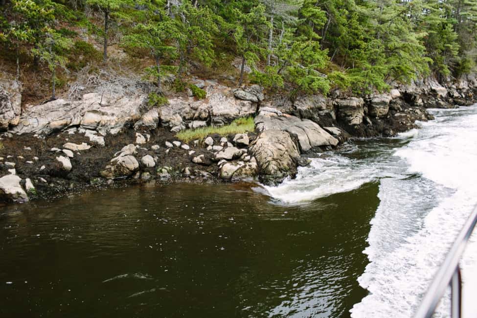 image n.13 of Boothbay Harbor: Spectacular Kennebec River Cruise activity in Boothbay Harbor, uploaded by supplier