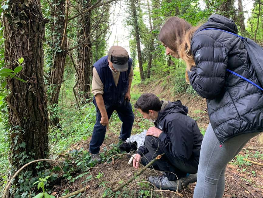 image n.2 of San Miniato: Truffle Hunting in The Tuscan Countryside activity in San Miniato, uploaded by supplier