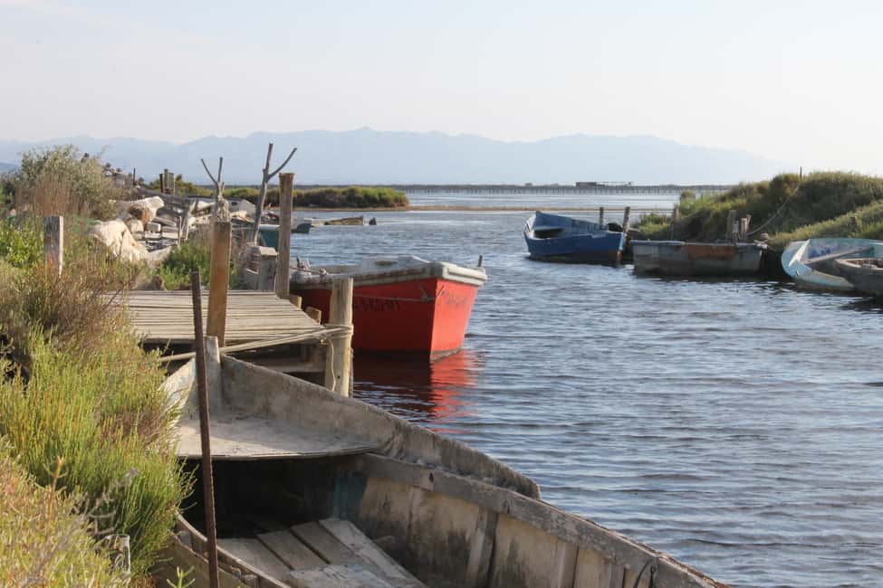 imagen n.º 2 de Delta del Ebro: Tour guiado por el Delta Norte con un local actividad en Cataluña, subida por el proveedor