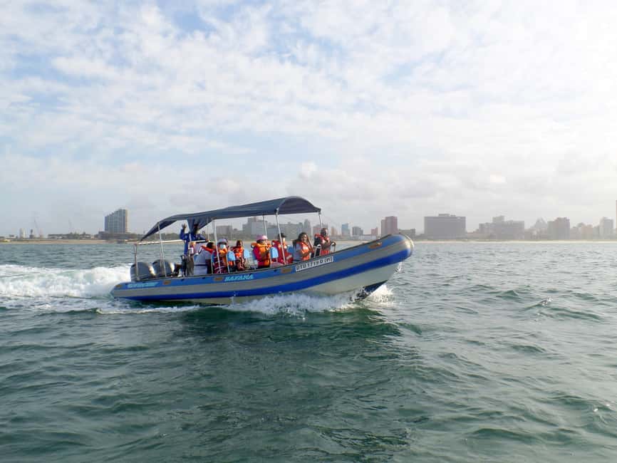 image n.10 of Durban: 1-Hour Boat Cruise from Wilson's Wharf activity in Durban, uploaded by supplier