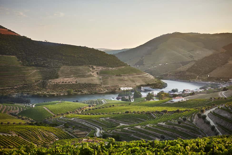 image n.1 of Pinhão: Quinta do Bomfim Visit and Tasting activity in Pinhão, uploaded by supplier