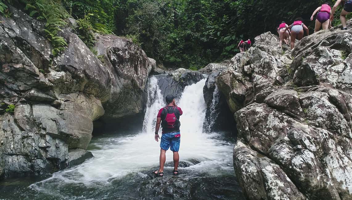 Obraz nr 8 z atrakcji Z San Juan: El Yunque Rainforest i Bio Bay Kayak Combo w Río Grande, Portoryko, przesłany przez organizatora