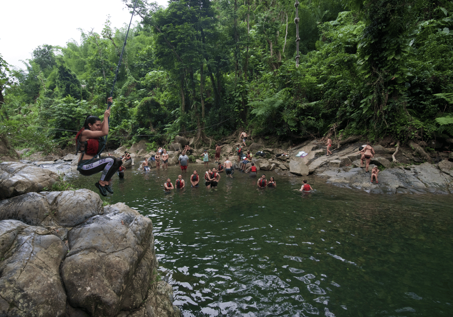 Obraz nr 6 z atrakcji Z San Juan: El Yunque Rainforest i Bio Bay Kayak Combo w Río Grande, Portoryko, przesłany przez organizatora