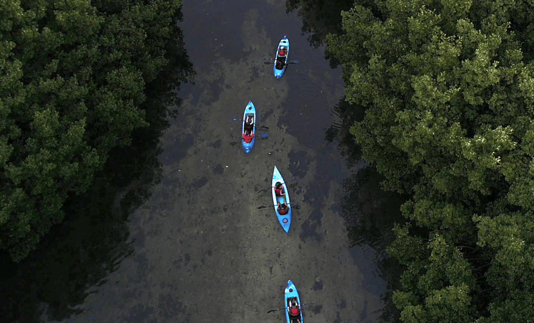 Obraz nr 11 z atrakcji Z San Juan: El Yunque Rainforest i Bio Bay Kayak Combo w Río Grande, Portoryko, przesłany przez organizatora